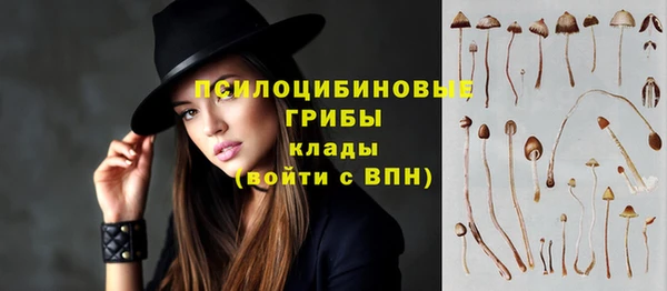 спиды Вязьма