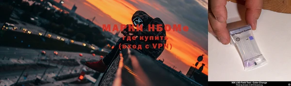 дурь Вяземский