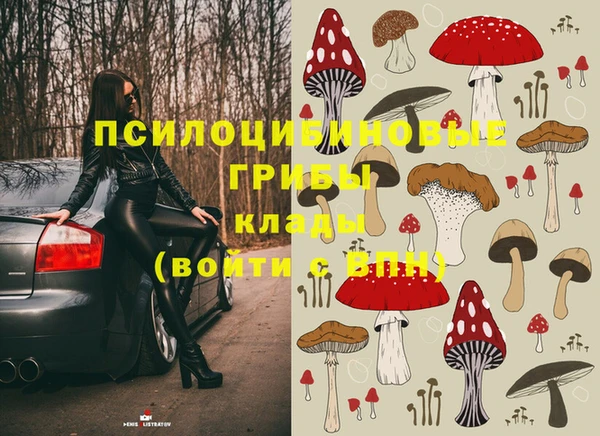 дурь Вяземский