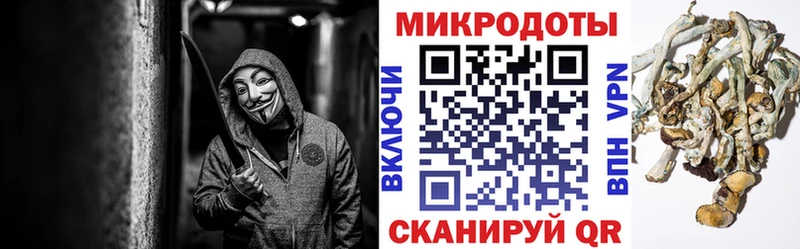 Псилоцибиновые грибы Psilocybine cubensis  что такое   Первомайск 